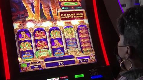 who owns live casino philadelphia|South Philly’s Live! Casino Getting a New Owner .